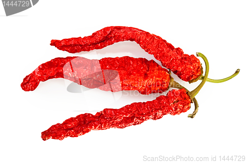 Image of Three pods of dried hot peppers