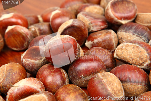 Image of chestnut