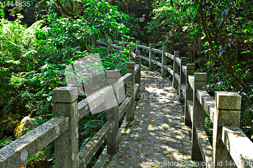 Image of Forest road