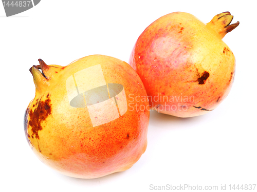 Image of pomegranate