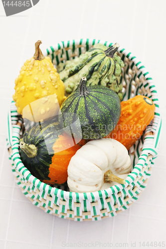 Image of colorful pumpkins