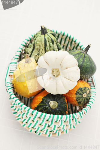 Image of colorful pumpkins