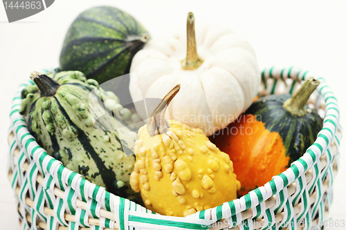 Image of colorful pumpkins