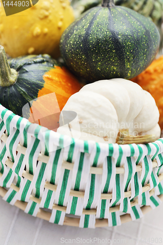 Image of colorful pumpkins