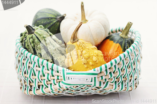 Image of colorful pumpkins