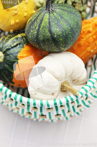 Image of colorful pumpkins