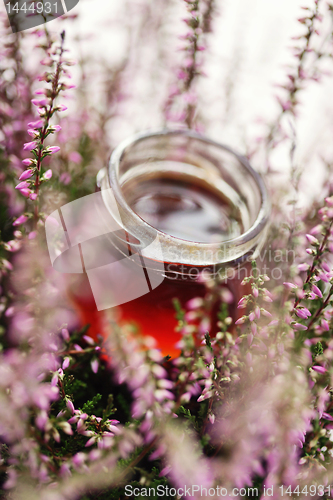 Image of herbal honey