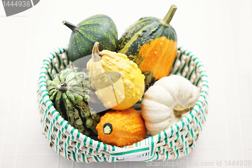 Image of colorful pumpkins