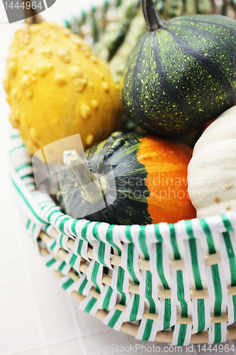 Image of colorful pumpkins