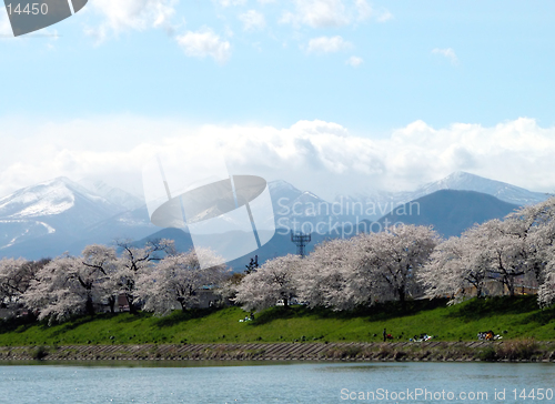 Image of Japanese spring landscape
