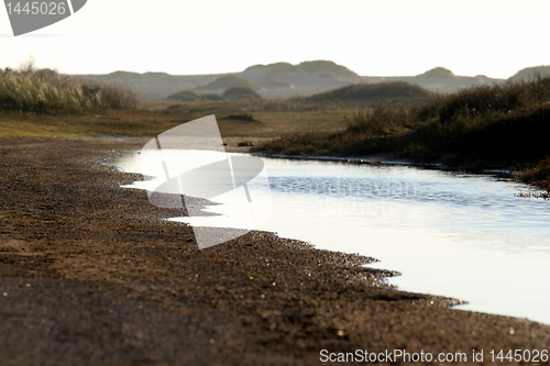 Image of wetland