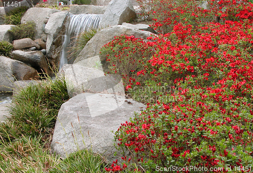 Image of Japanese garden detail