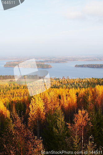 Image of Autumn landscape