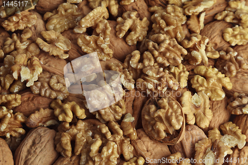 Image of Walnut kernel.