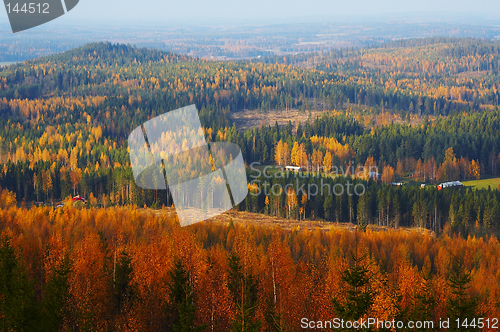 Image of Autumn landscape