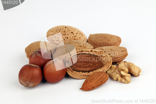 Image of Composition from nuts.