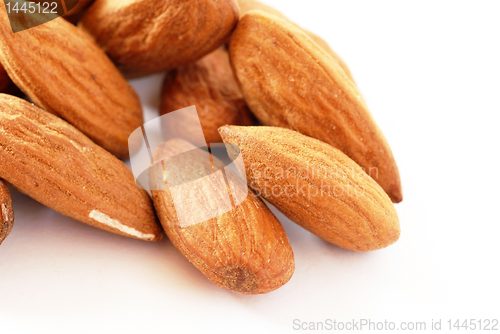 Image of Almonds