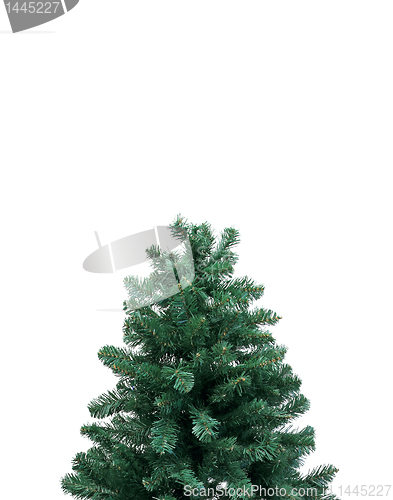 Image of christmas tree