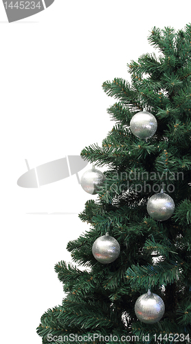 Image of christmas tree