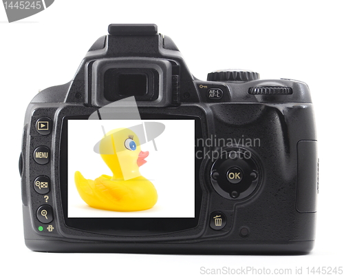 Image of toy duck on camera