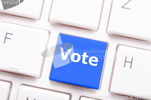 Image of vote