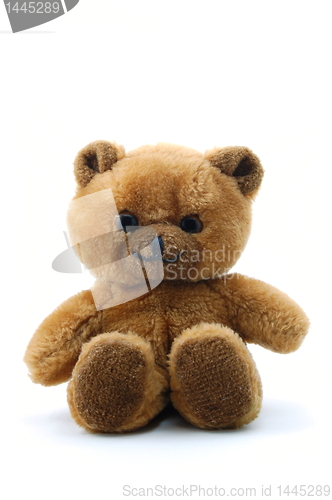 Image of teddy bear isolated on white background