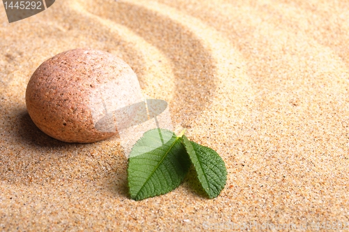 Image of zen or spa