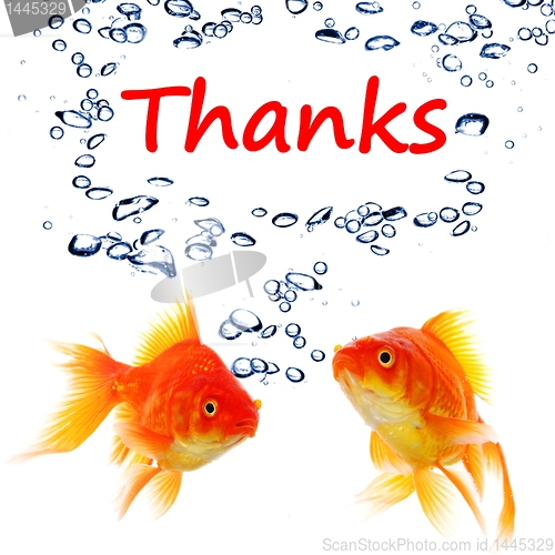 Image of thanks