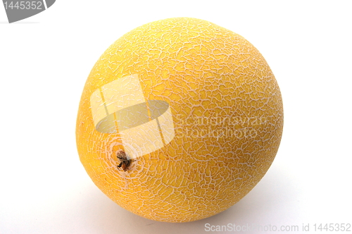 Image of melon