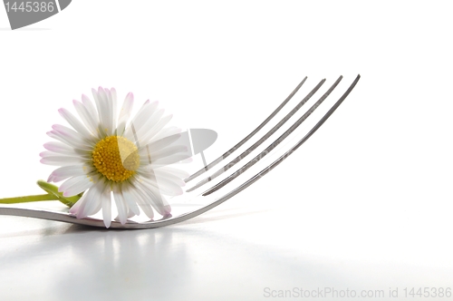 Image of flower and fork
