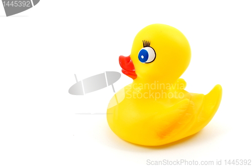 Image of toy rubber duck 