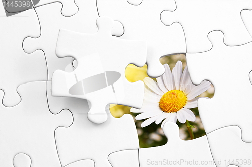 Image of puzzle and flower