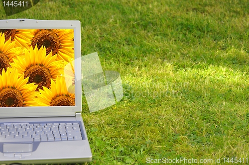 Image of laptop and flower