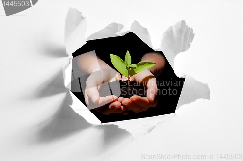 Image of hole in paper and plant in hands