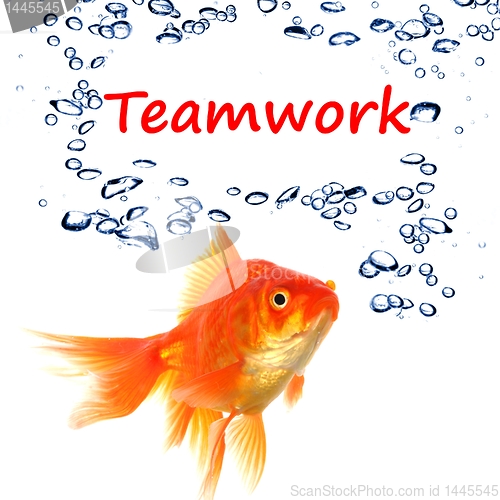 Image of teamwork