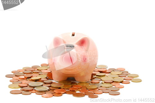 Image of piggy bank and money