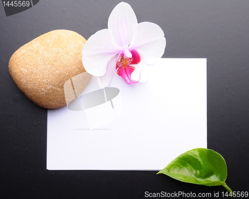 Image of zen or spa