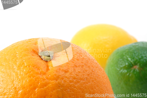 Image of lemon orange and citron fruit