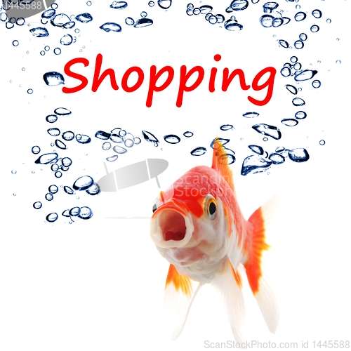 Image of shopping