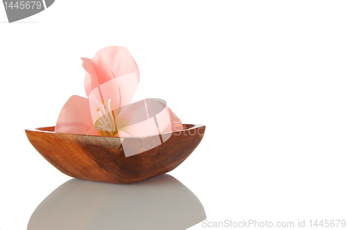 Image of flower