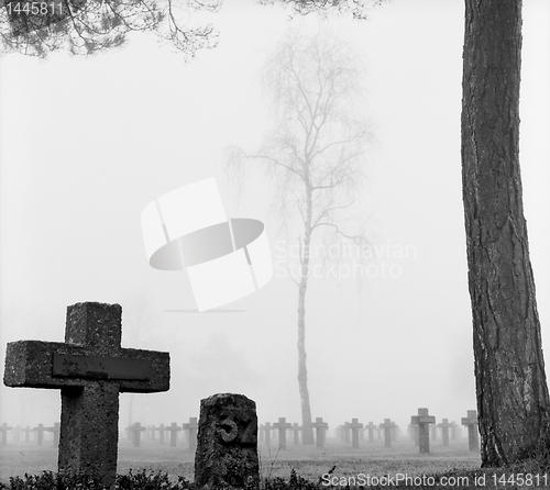 Image of mist at cemetery