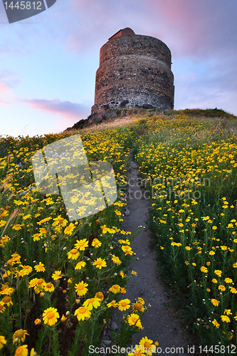 Image of spring flower field with trail to castle tower