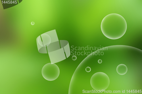 Image of organic background