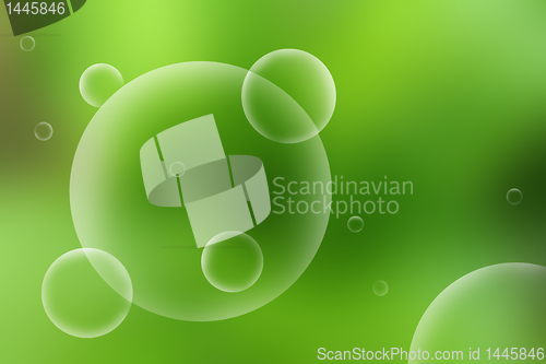 Image of organic background