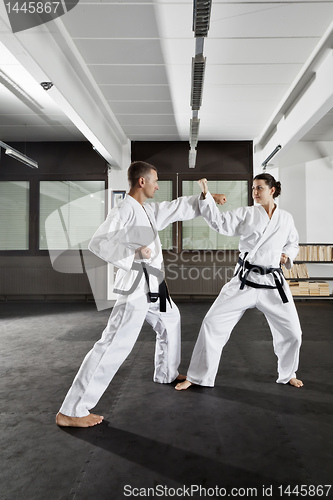 Image of martial arts master