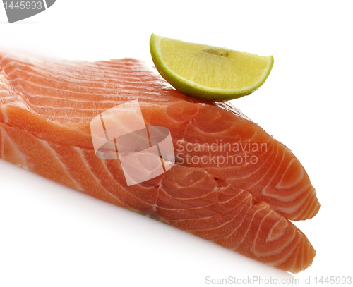 Image of Raw Salmon Fillet