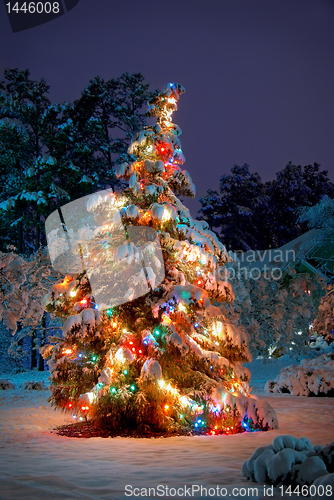 Image of Christmas tree  