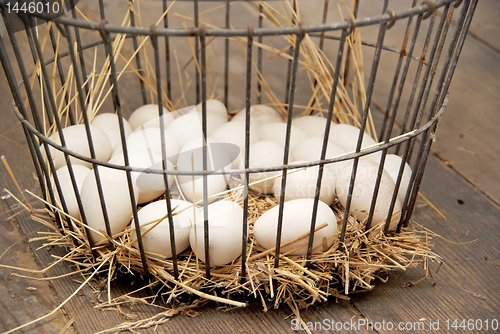 Image of Eggs in vintage metal egg basket