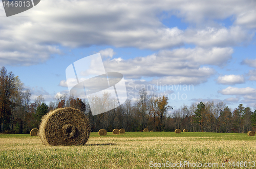 Image of Filed with hay roll