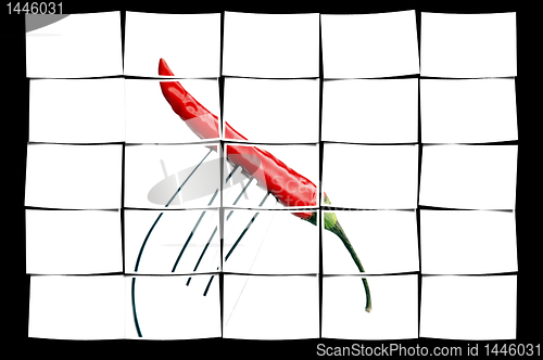 Image of red chili pepper on a fork